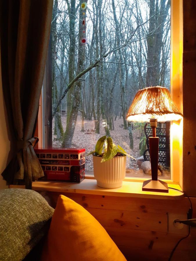 Le Gite De La Cabane De L'Oiseau Couze-et-Saint-Front Exteriör bild
