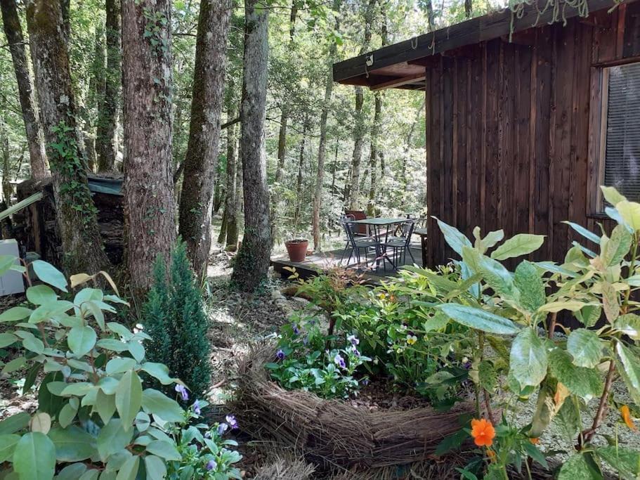 Le Gite De La Cabane De L'Oiseau Couze-et-Saint-Front Exteriör bild