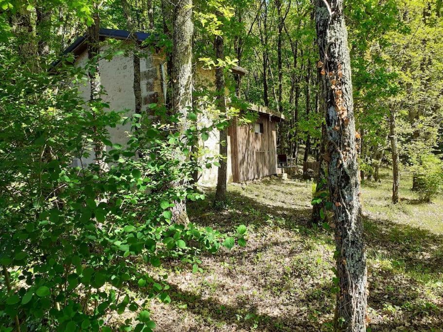 Le Gite De La Cabane De L'Oiseau Couze-et-Saint-Front Exteriör bild